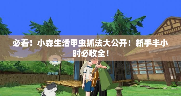 必看！小森生活甲蟲抓法大公開！新手半小時必收全！