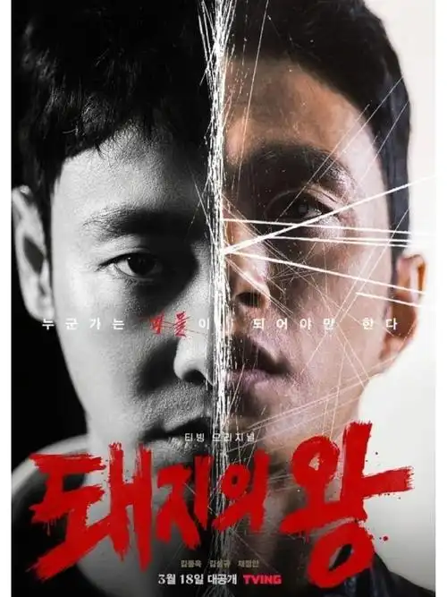 波波影视 背着善宰跑 高清在线观看